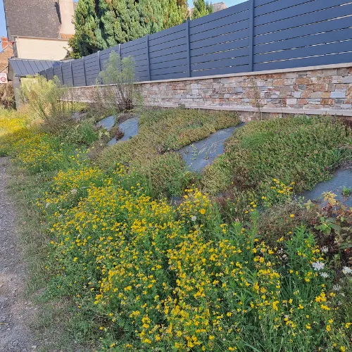 before-image